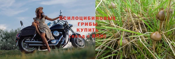 Альфа ПВП Михайловск