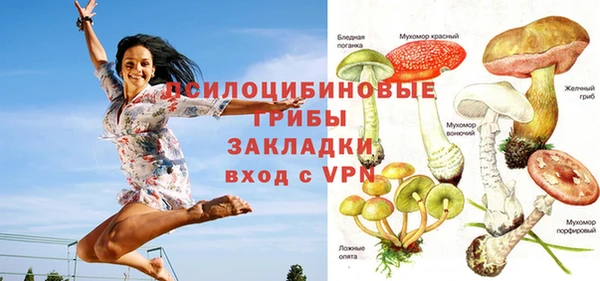Альфа ПВП Михайлов